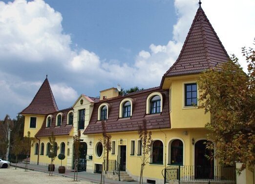 Kiemelt szolgáltató